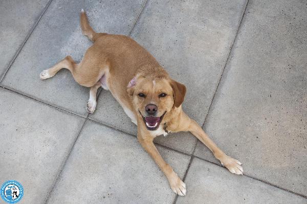 Washy: cercasi umano disposto a farsi rubare il cuore Foto 3